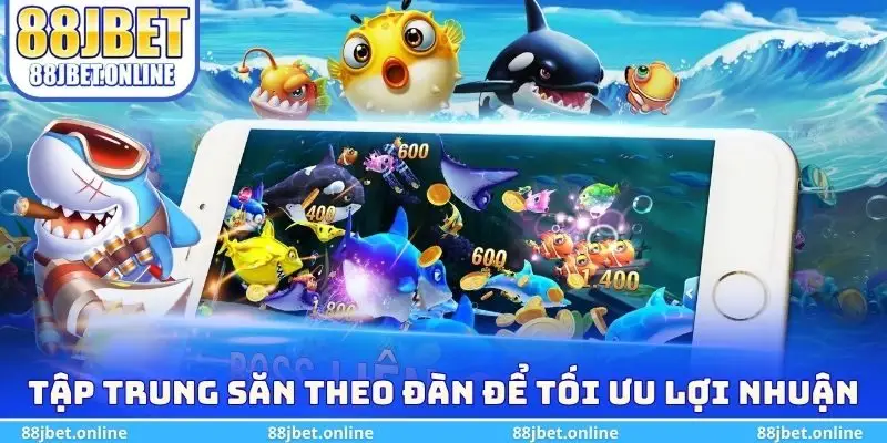 Tập trung săn theo đàn để tối ưu lợi nhuận